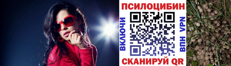 Галлюциногенные грибы ЛСД darknet состав Борзя хочу наркоту