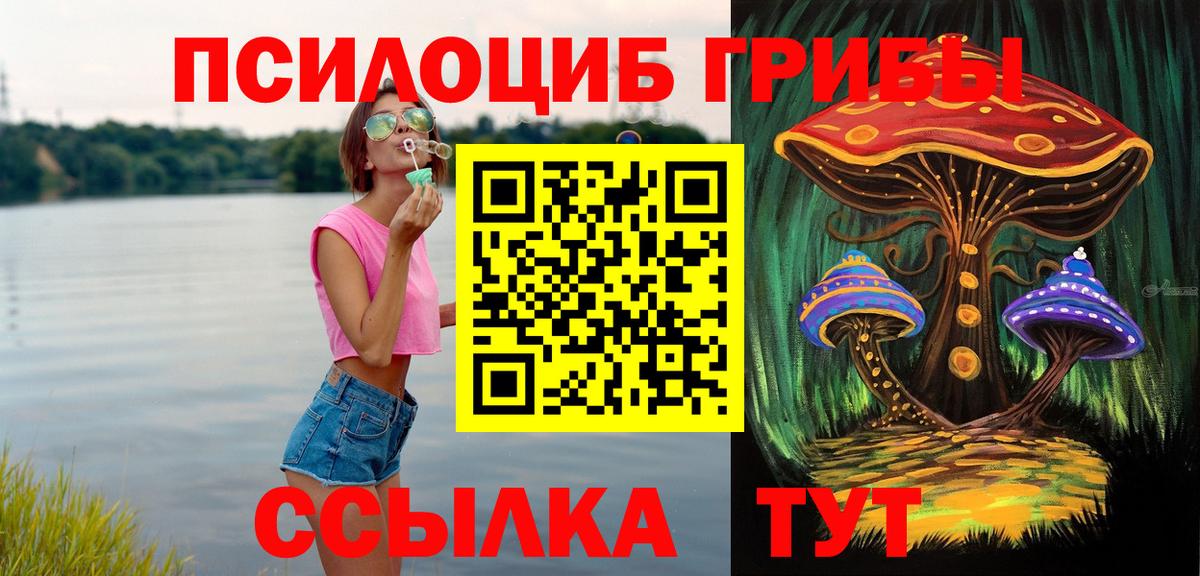 Борзя  Псилоцибиновые грибы Magic Shrooms  закладки  Вход с VPN 